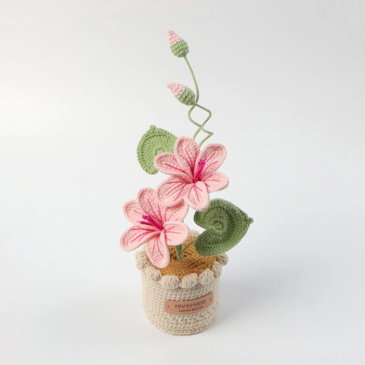Woolen flower pot handmade with lots of love 💘