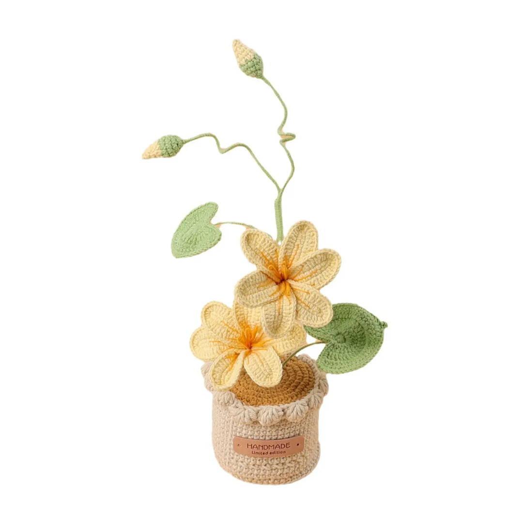 Woolen flower pot handmade with lots of love