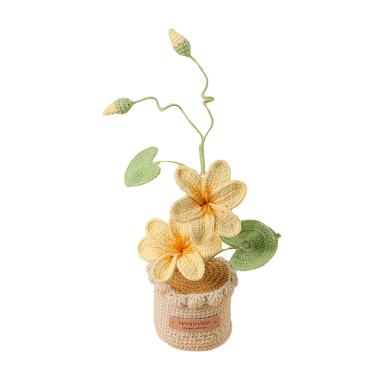 Woolen flower pot handmade with lots of love